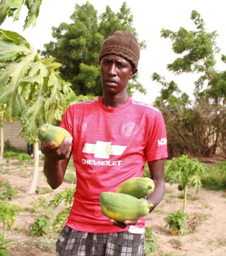 Moustapha Jr Ndiaye